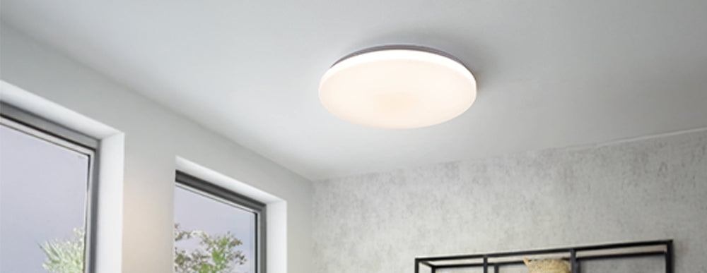 Indoor Oyster Lights