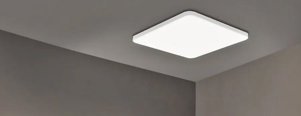 Square Oyster Lights