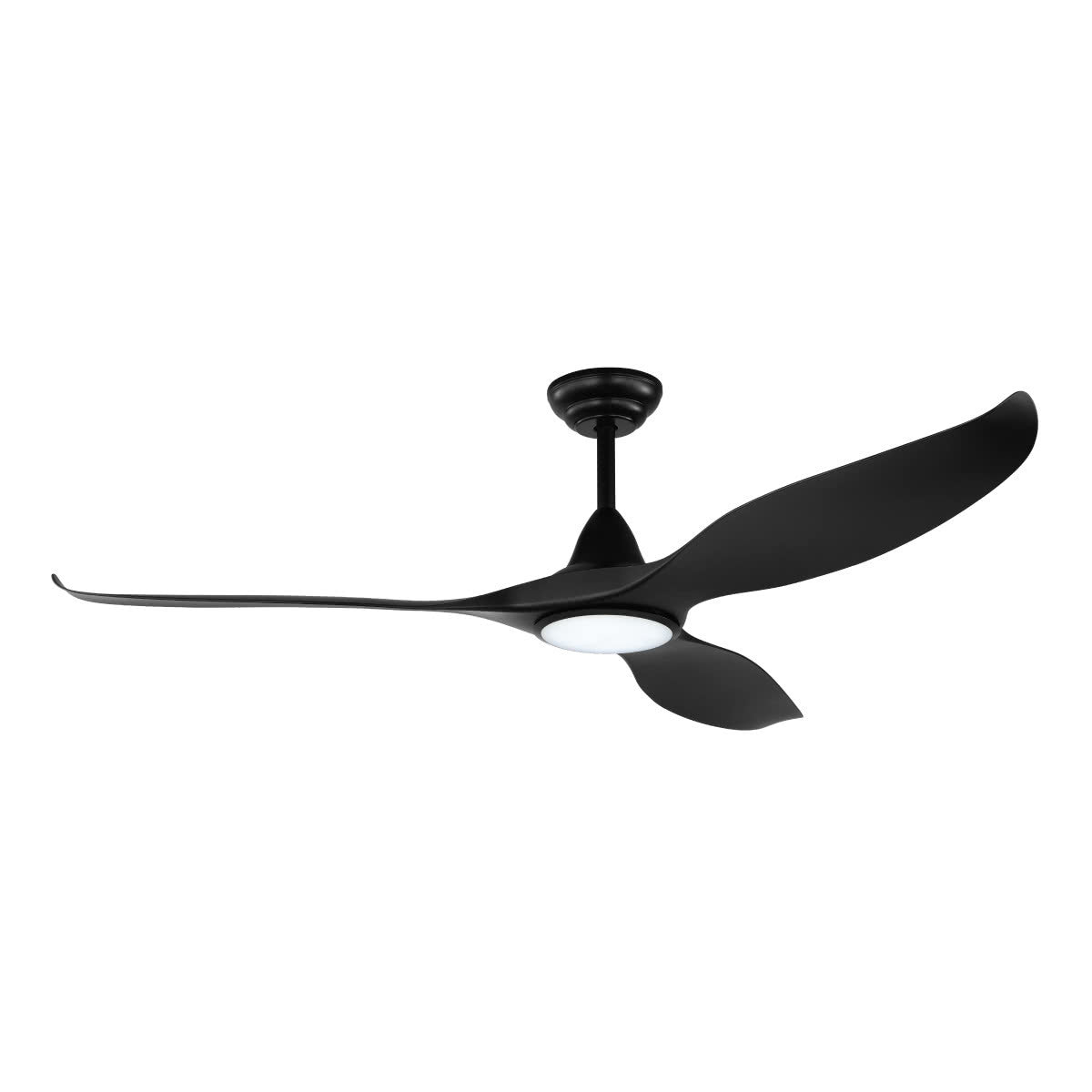 Noosa DC Ceiling Fan with LED Light & Remote