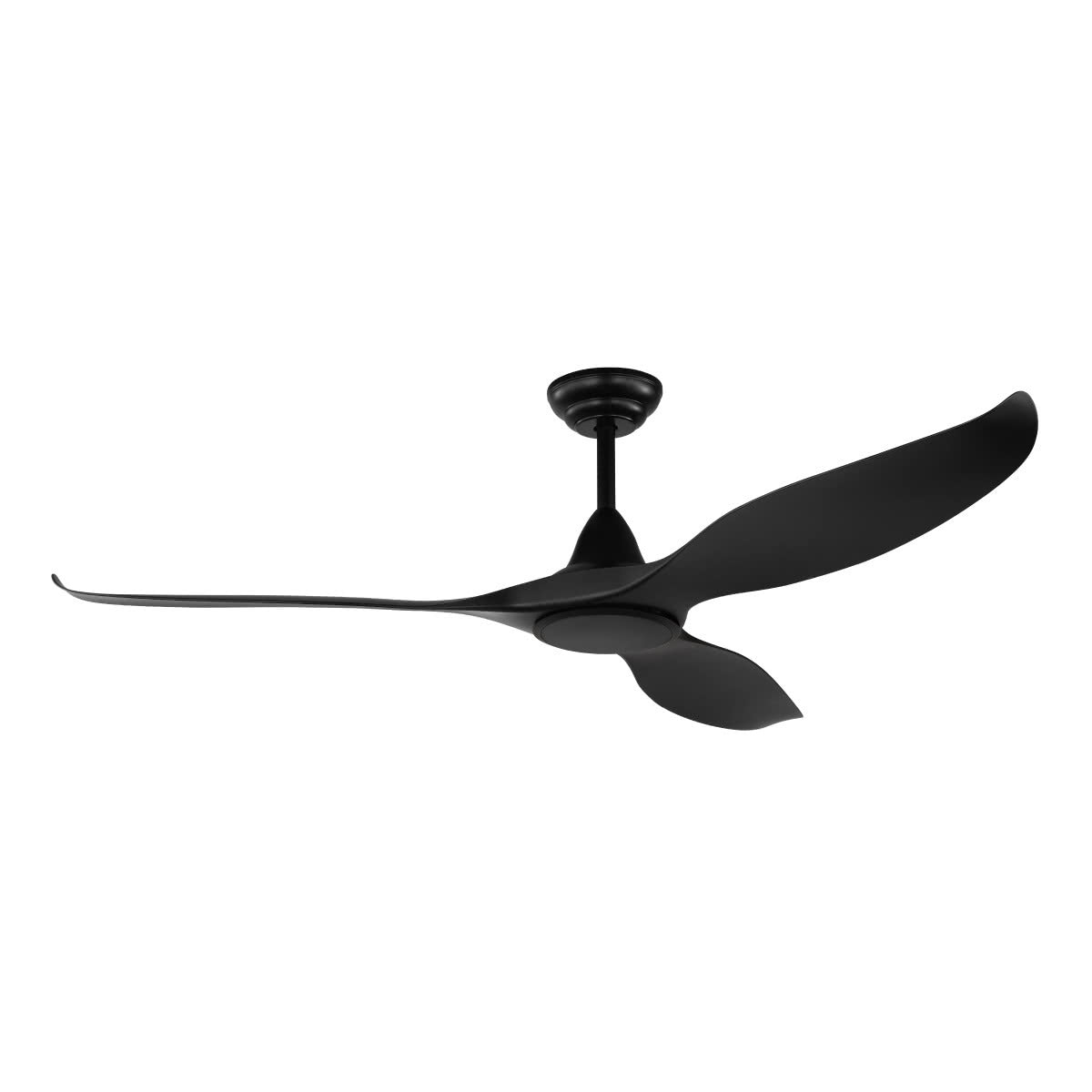 Noosa DC Ceiling Fan with Remote