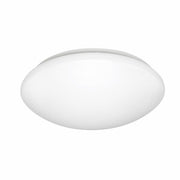 Cordia Oyster Light with Tri-Colour Technology