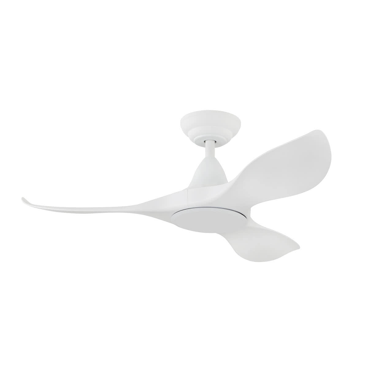 Noosa DC Ceiling Fan with Remote