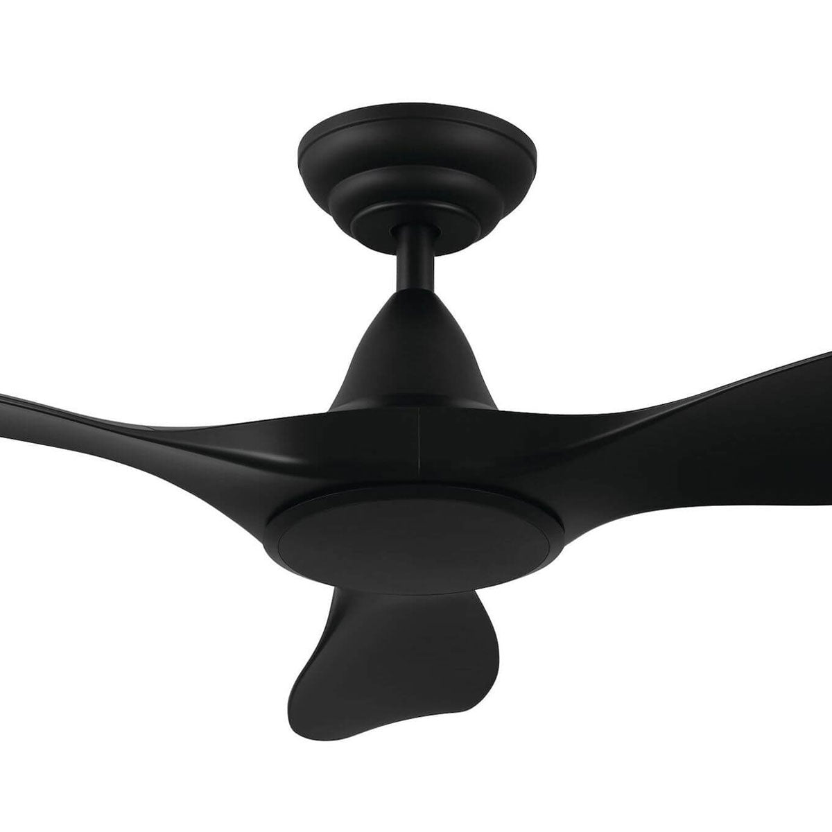 Noosa DC Ceiling Fan with Remote