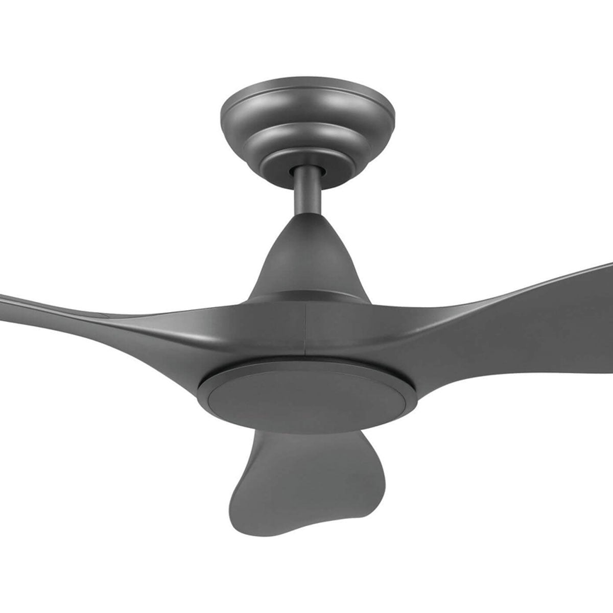 Noosa DC Ceiling Fan with Remote