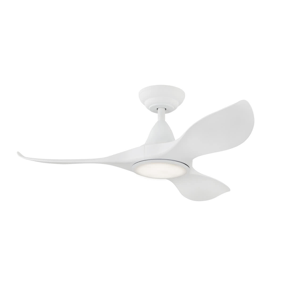 Noosa DC Ceiling Fan with LED Light & Remote