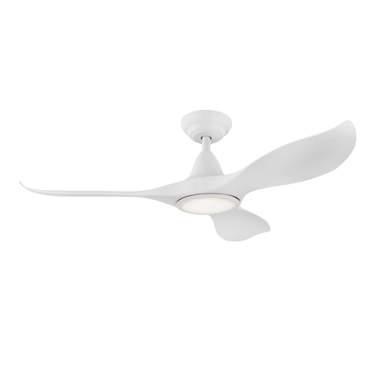 Noosa DC Ceiling Fan with LED Light & Remote