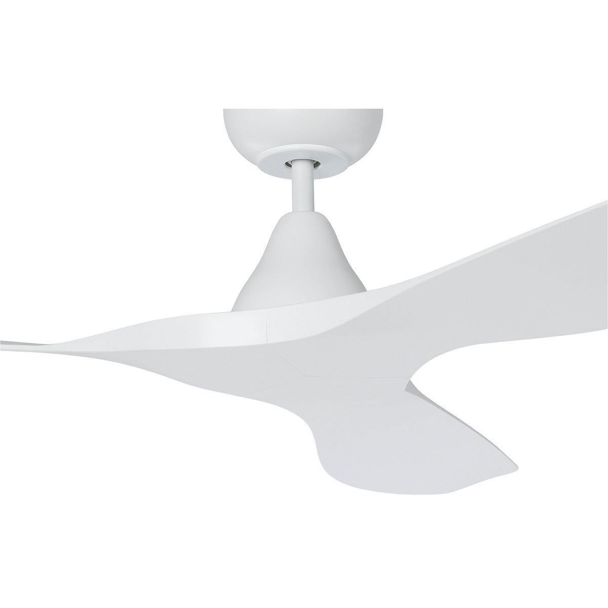 Surf DC Ceiling Fan with Remote