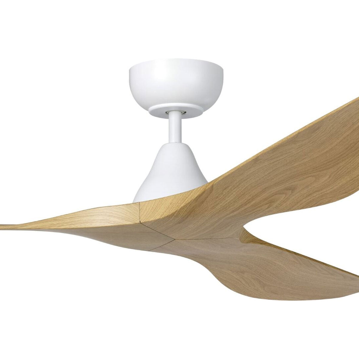 Surf DC Ceiling Fan with Remote