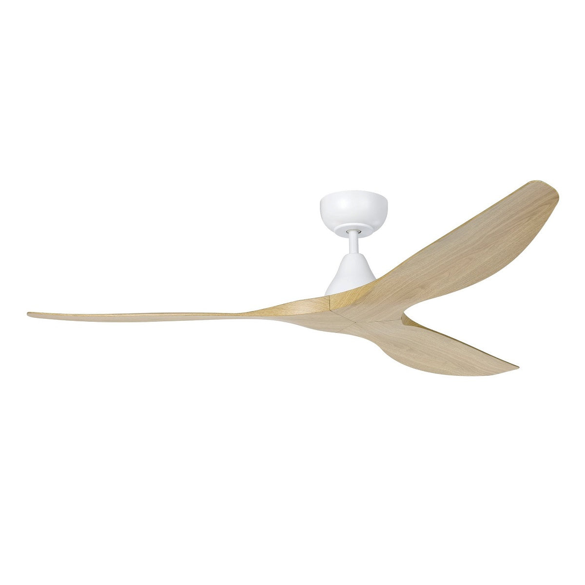 Surf DC Ceiling Fan with Remote