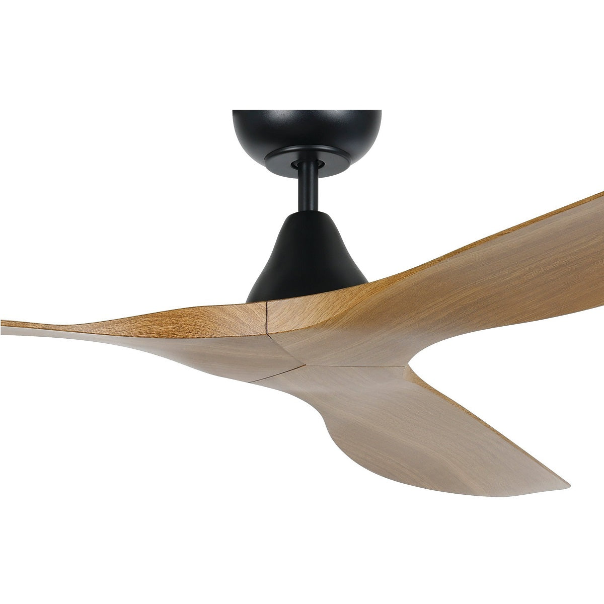 Surf DC Ceiling Fan with Remote