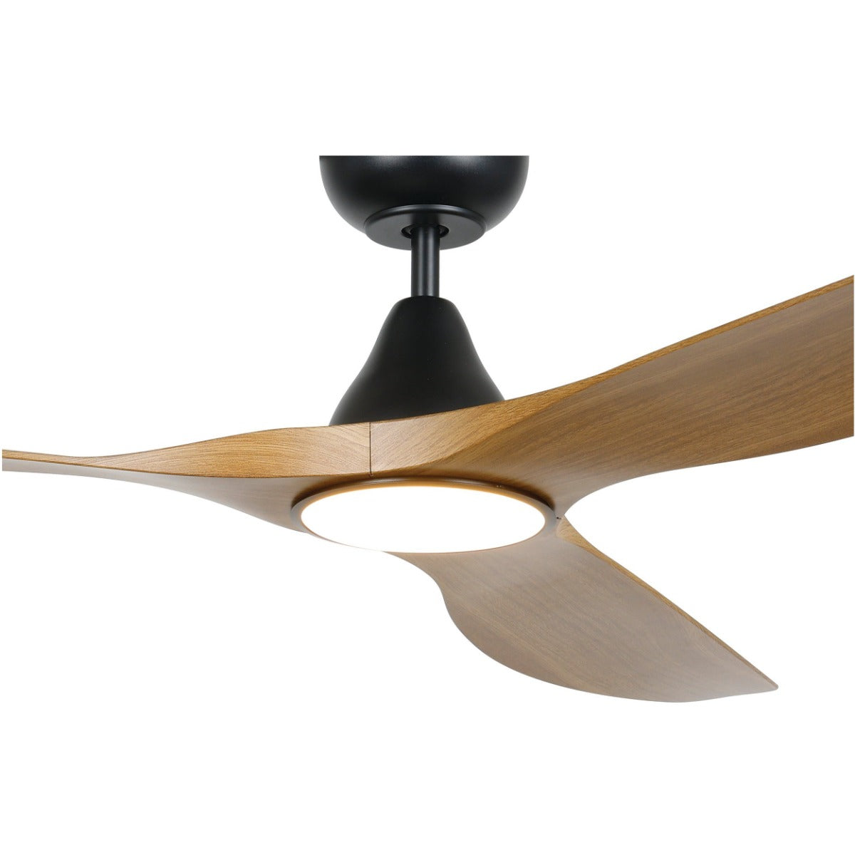 Surf DC Ceiling Fan with  LED Light & Remote