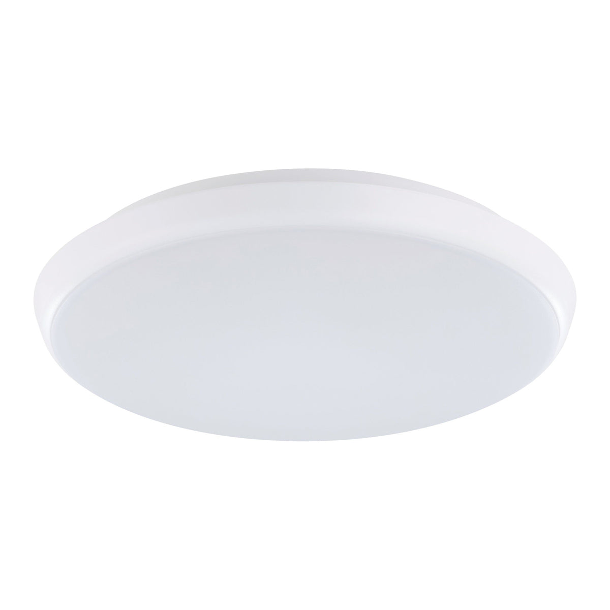 Ollie 2 LED Oyster Utility Light