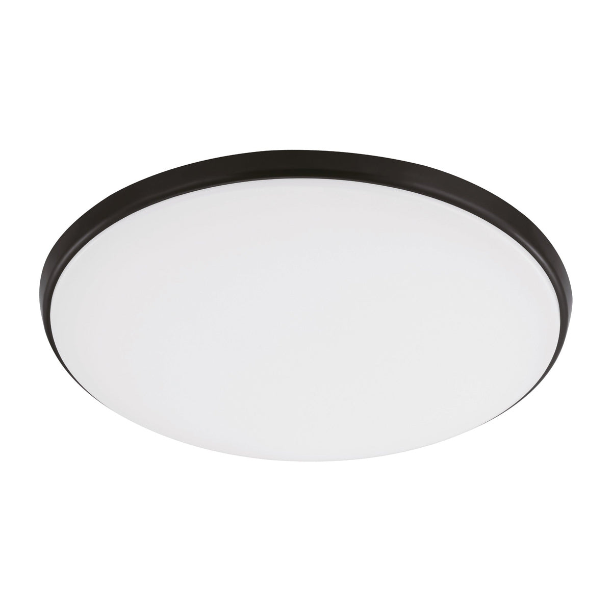 Ollie 2 LED Oyster Utility Light