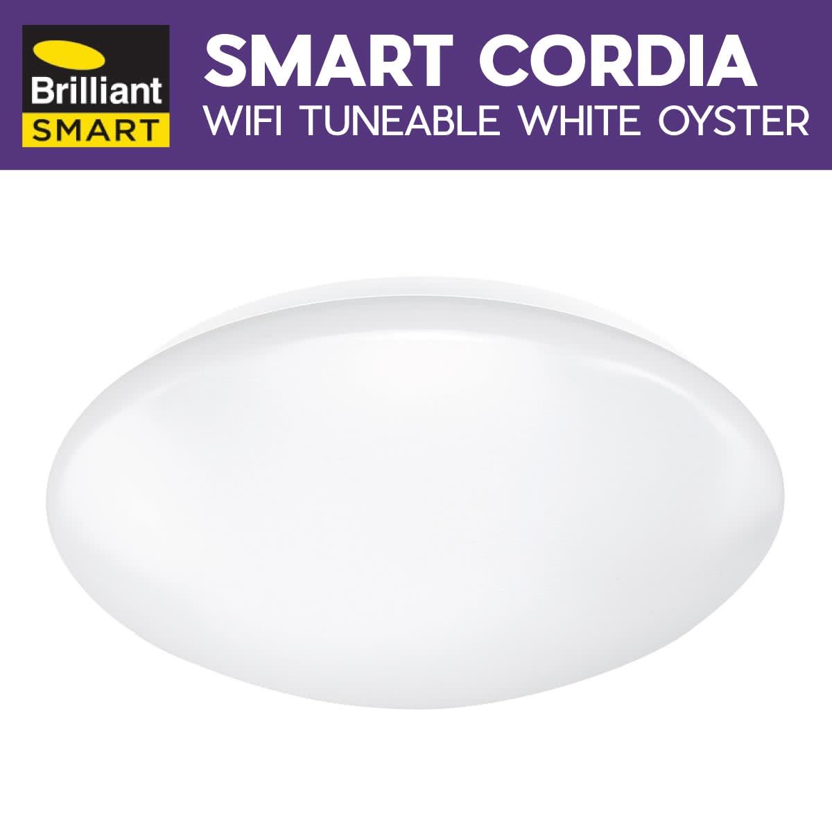 Cordia Smart Oyster Light