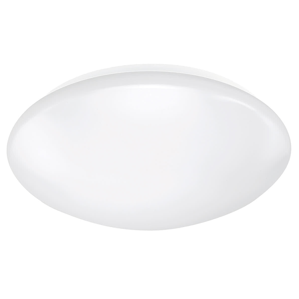 Cordia Smart Oyster Light