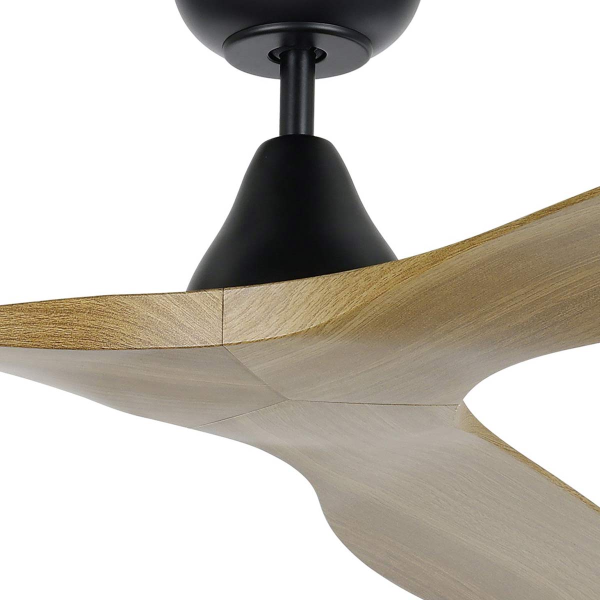 Surf DC Ceiling Fan with Remote