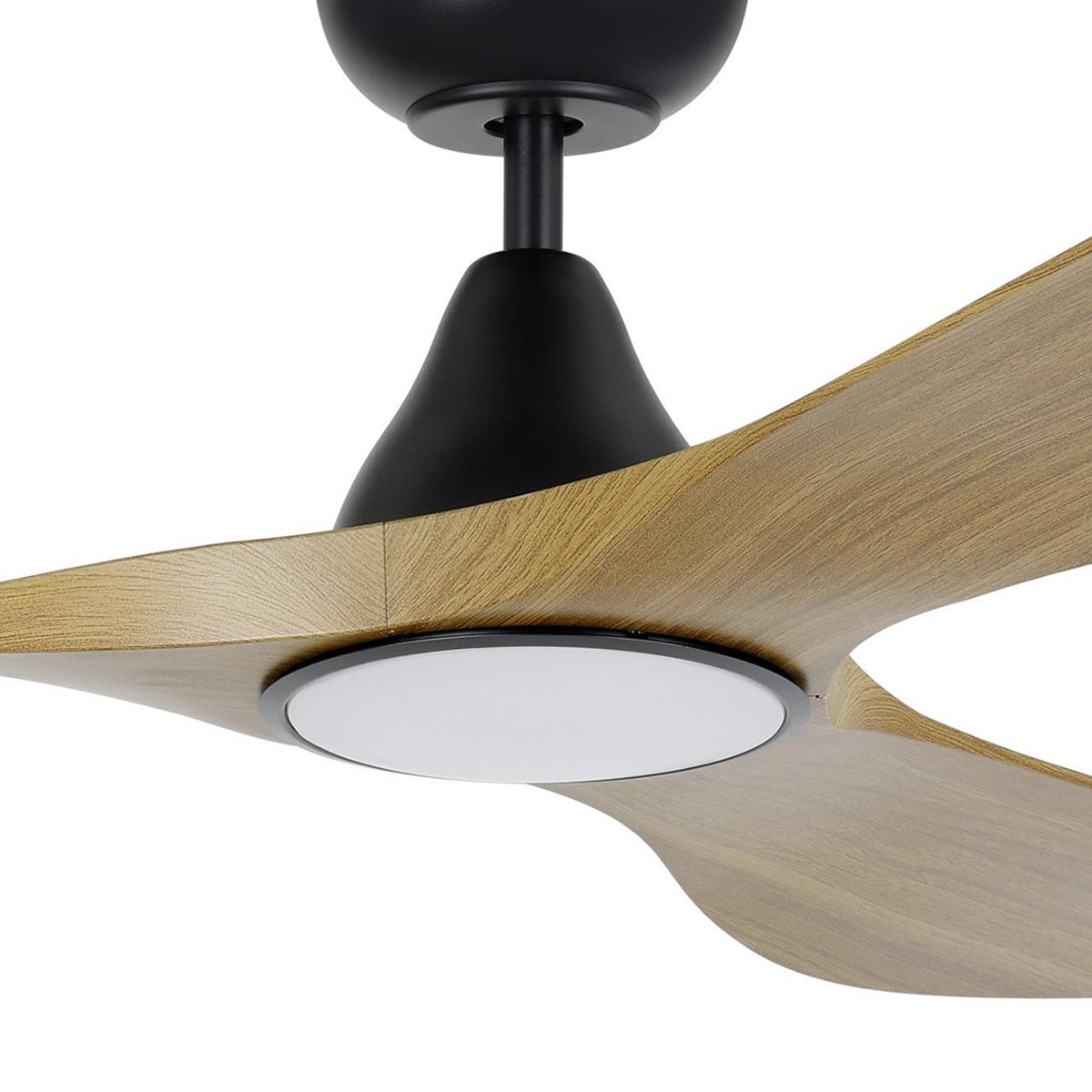 Surf DC Ceiling Fan with Remote