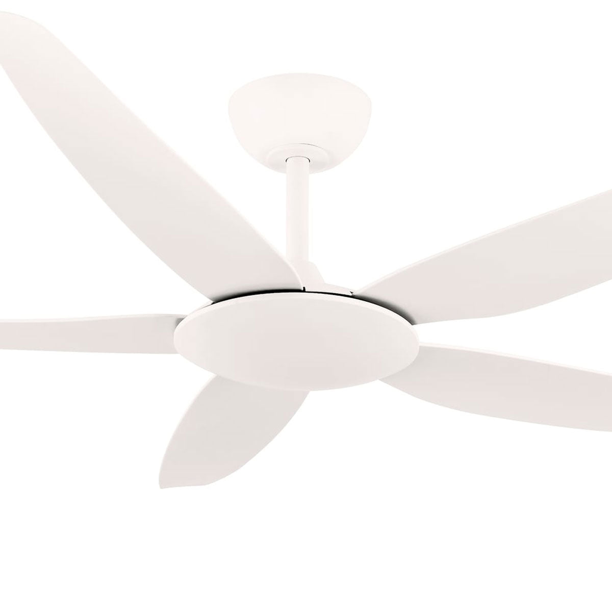 Amari DC Ceiling Fan with Remote