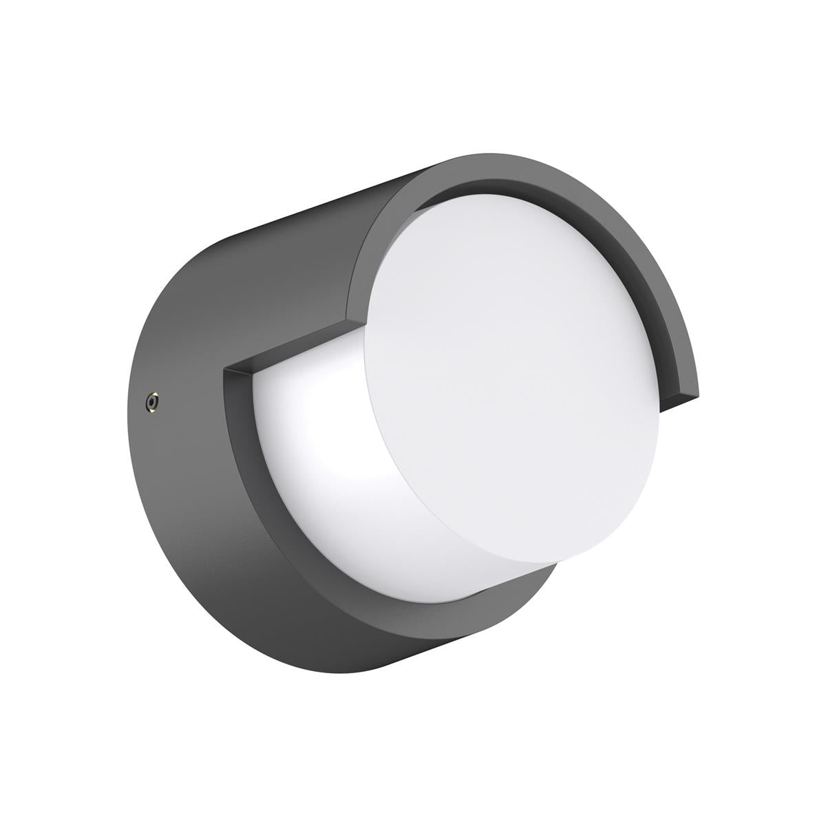 Livi Sconce Outdoor Wall Light
