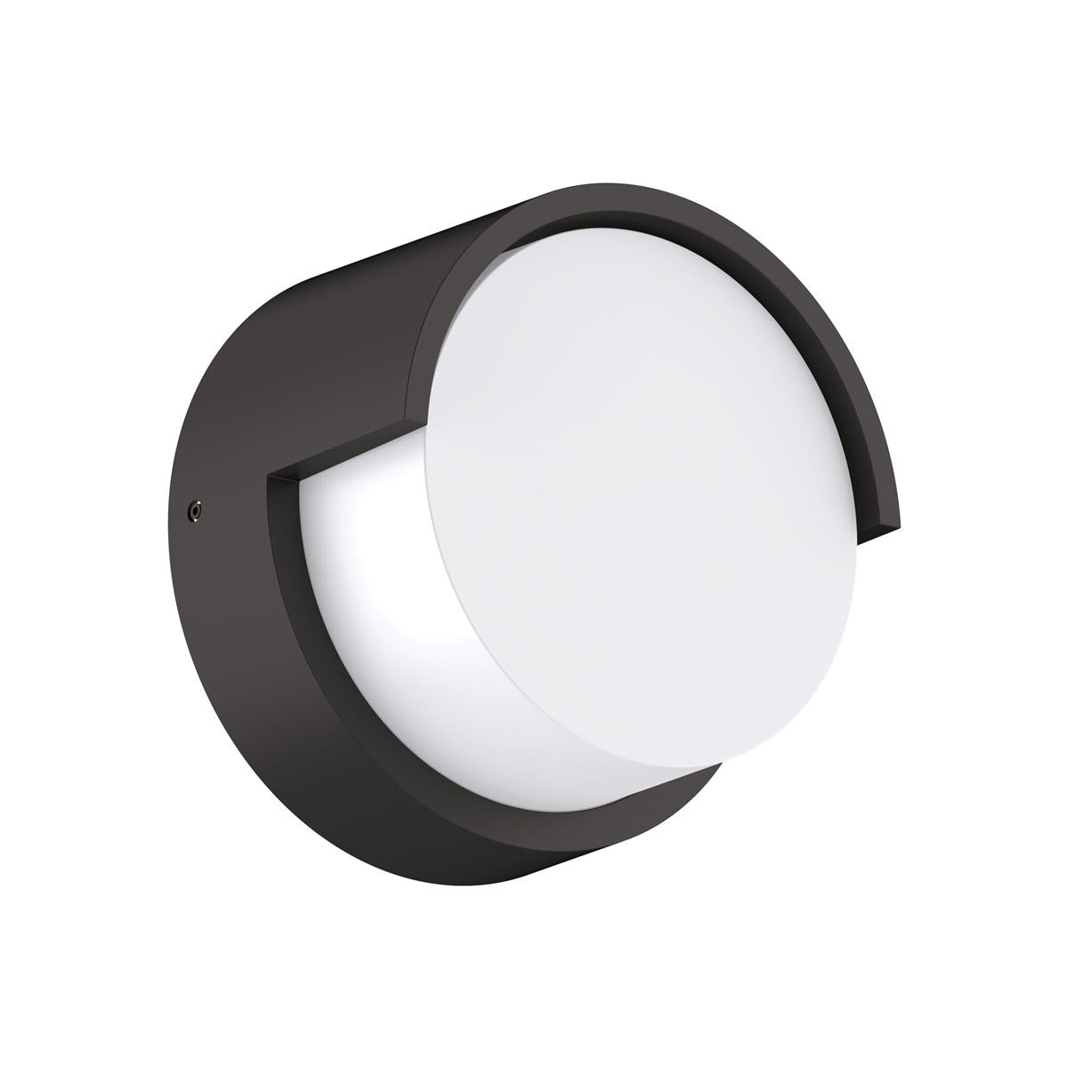 Livi Sconce Outdoor Wall Light