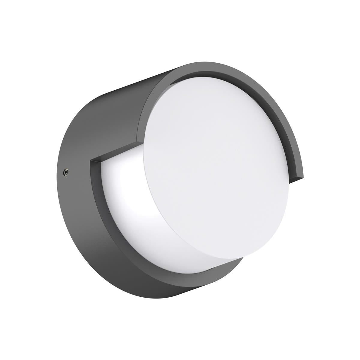 Livi Sconce Outdoor Wall Light