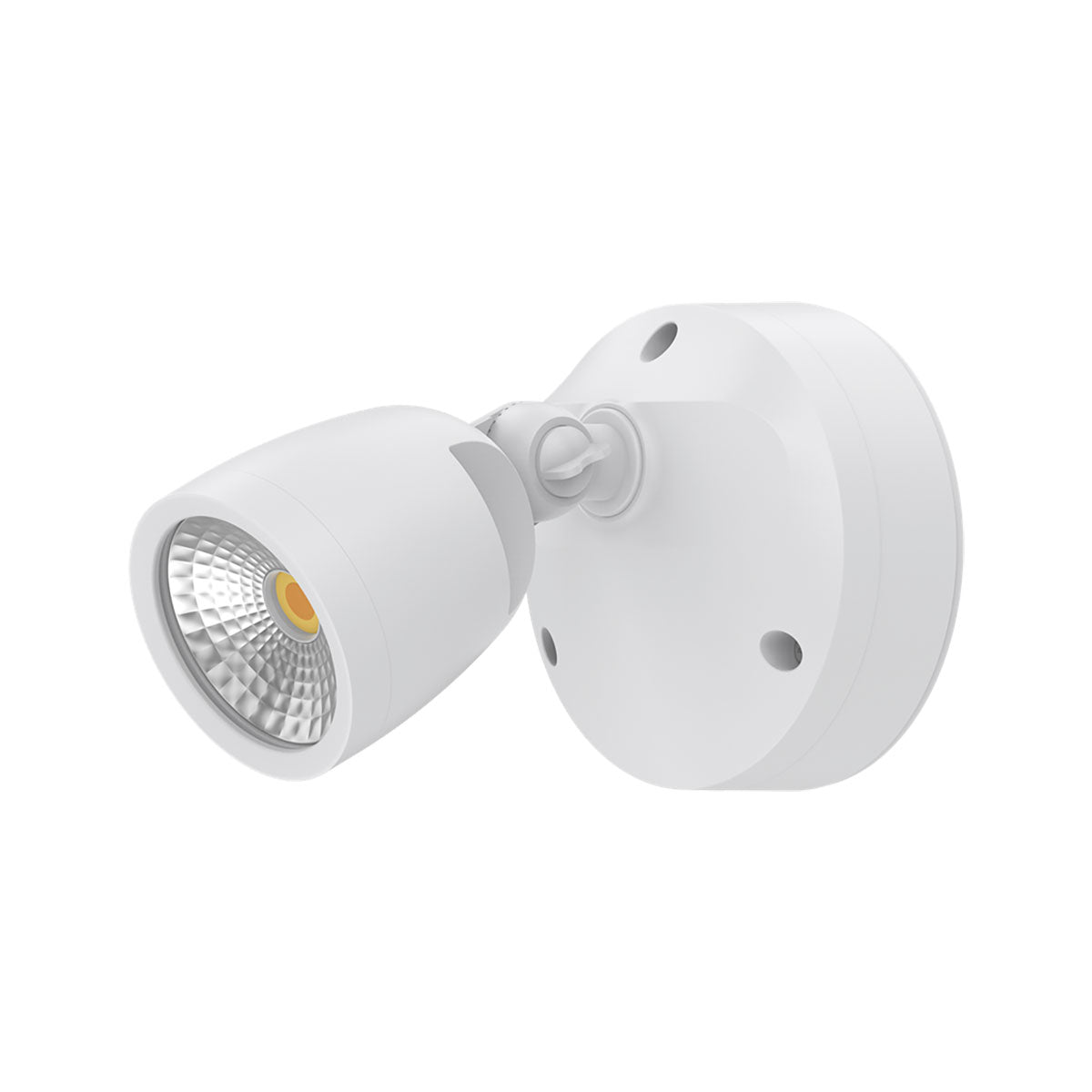 Muro Max LED Coastal Security Spotlight