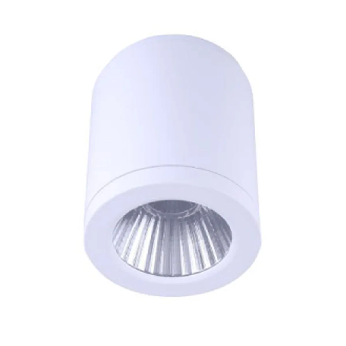 Surface Mounted LED Downlight