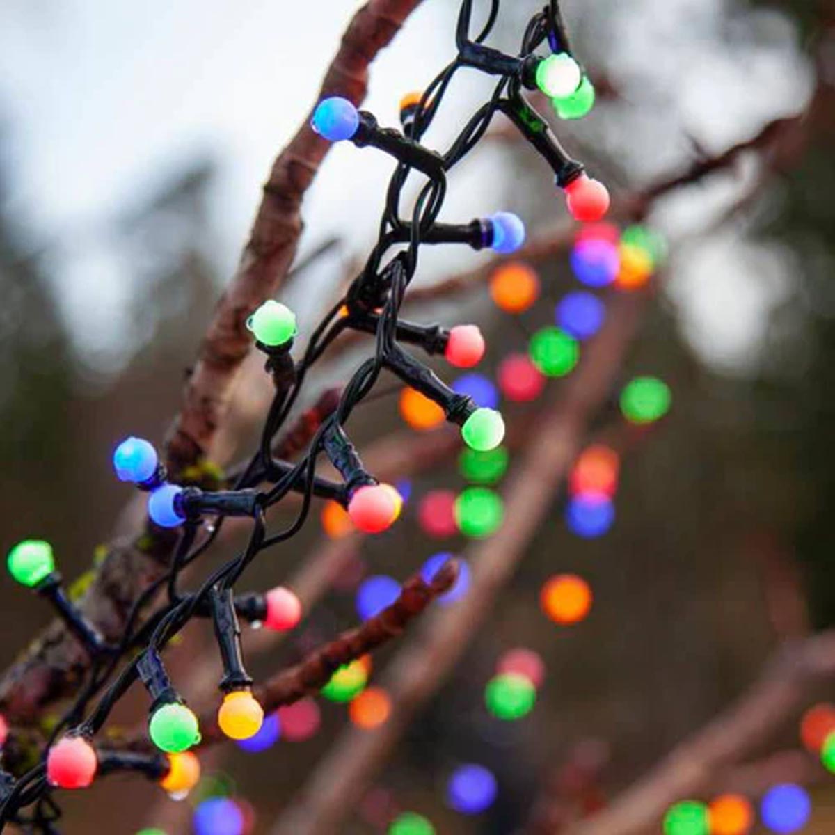 LED Berry Fairy Lights