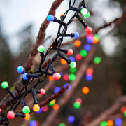 LED Berry Fairy Lights