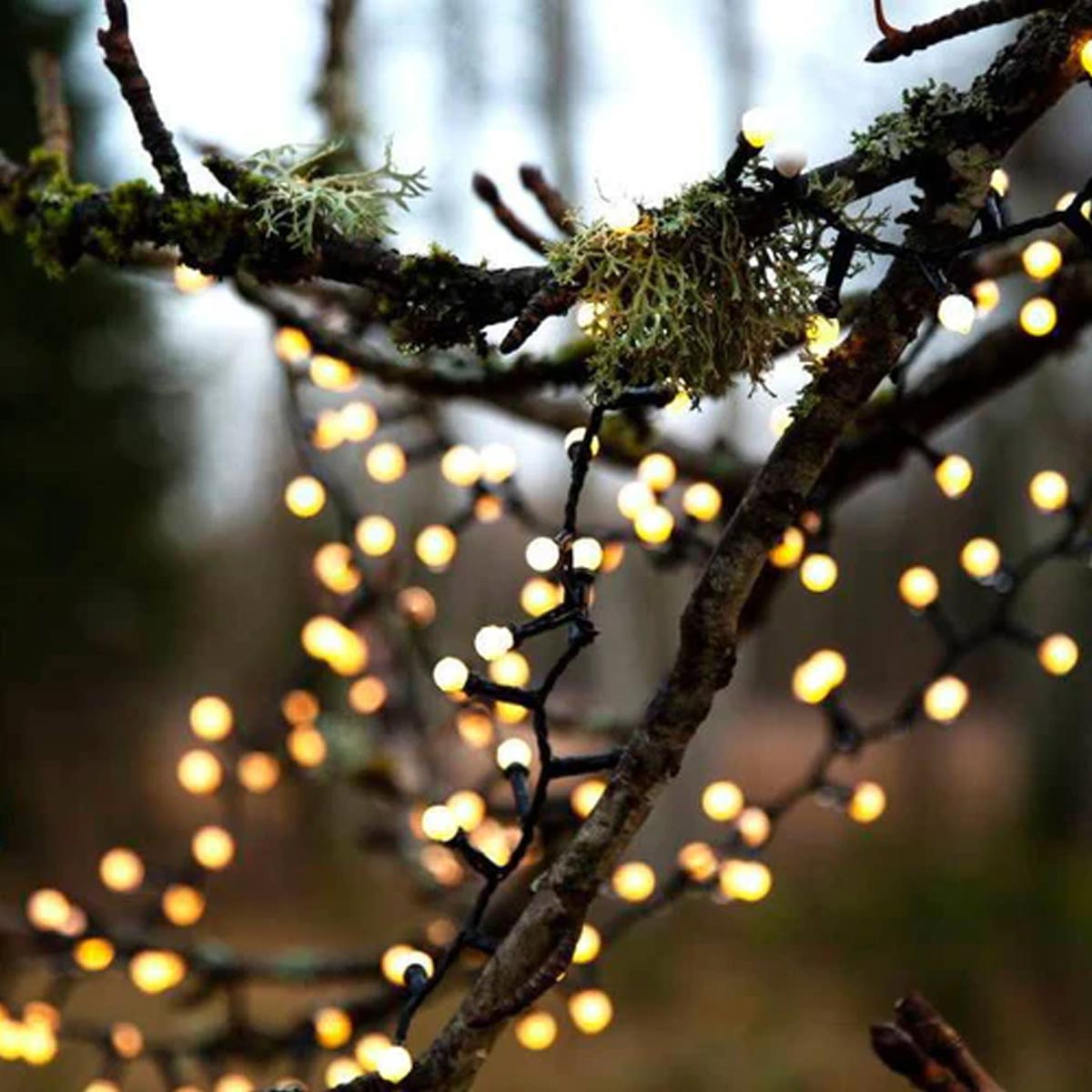 LED Berry Fairy Lights