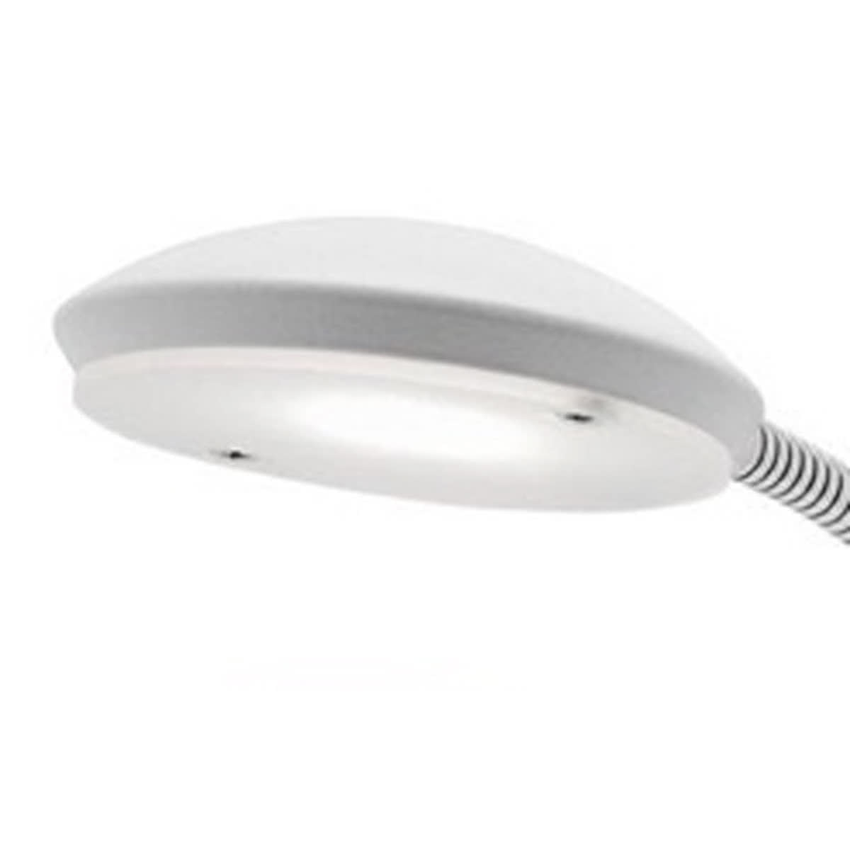 Dylan 6W LED Touch Floor Lamp