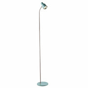 Celeste 5W LED Metal Floor Lamp