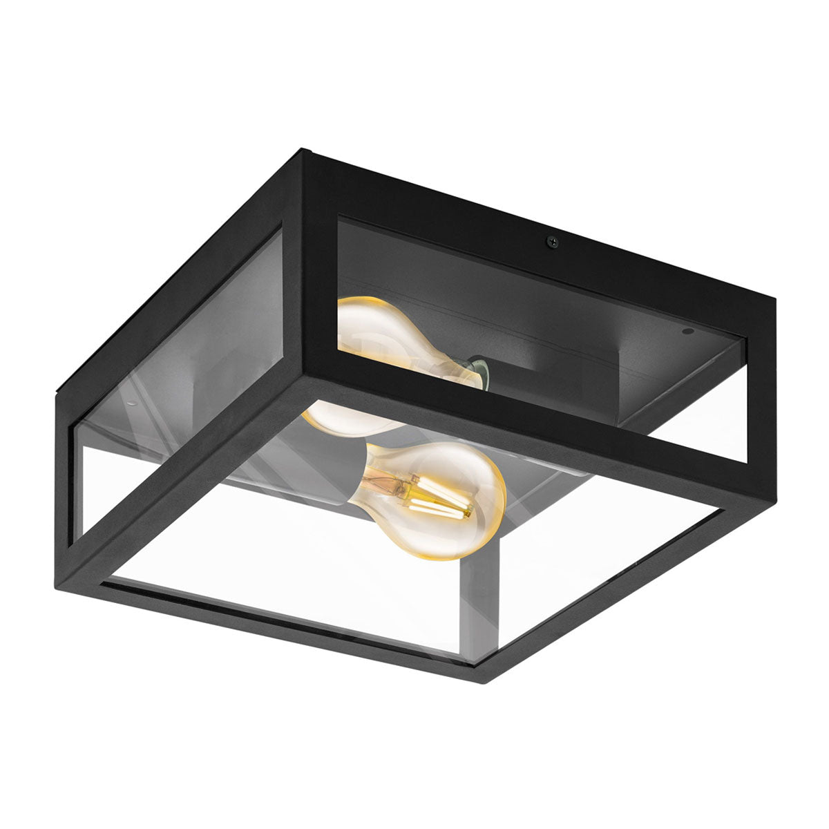 Alamonte 1 Black Metal Frame Outdoor Ceiling Light
