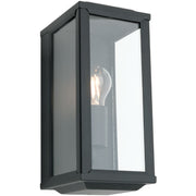 Anglesea Metal & Glass Outdoor Wall Light