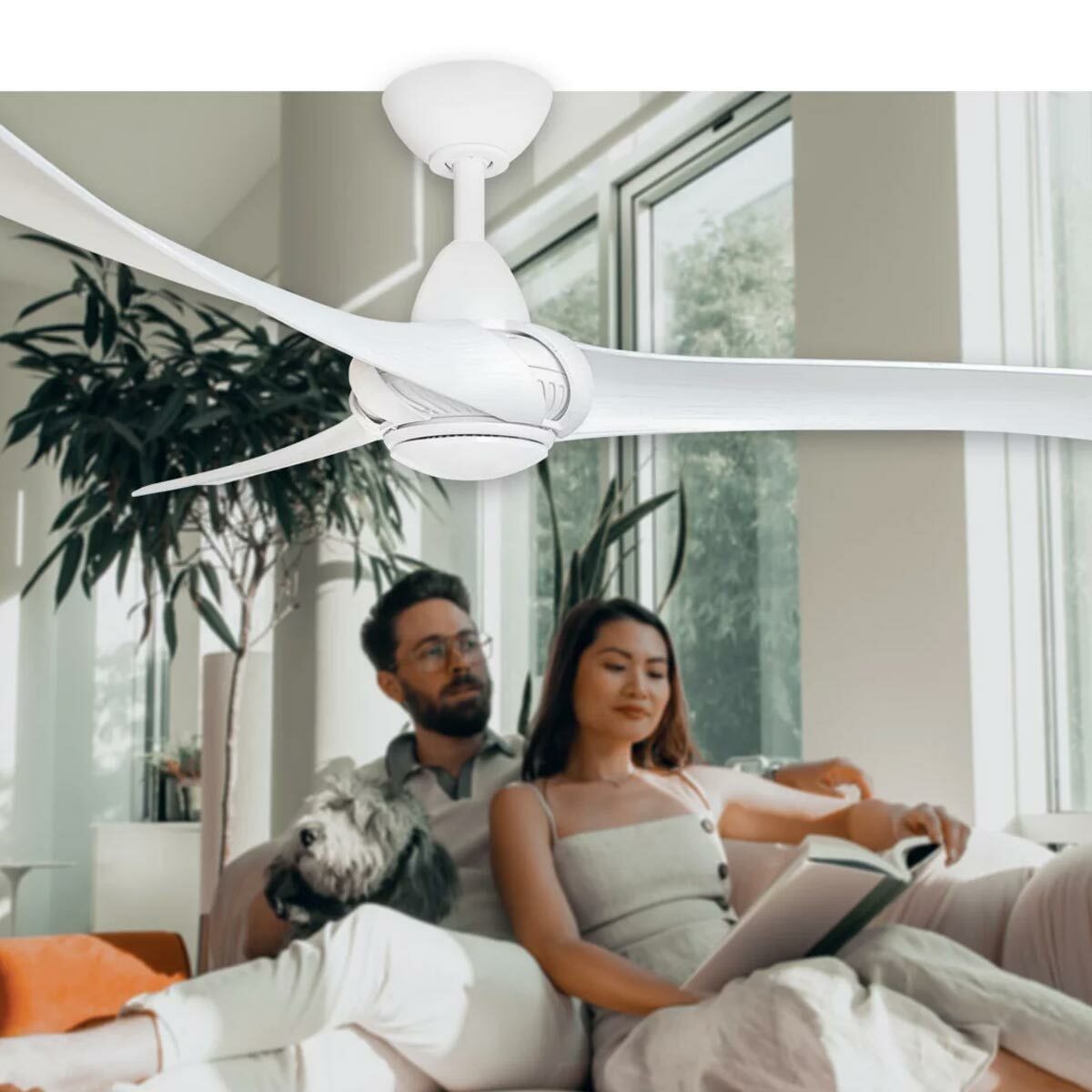 Arumi 3 Blade 52" AC Ceiling Fan