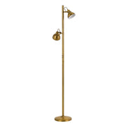 Carson 2 Light Floor Lamp - Adjustable Lighting