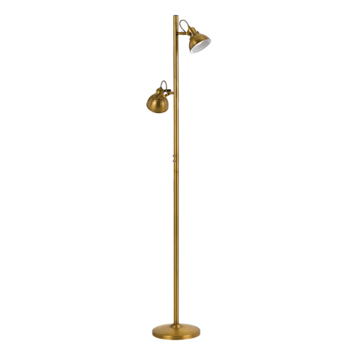 Carson 2 Light Floor Lamp - Adjustable Lighting