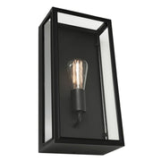 Chester Metal & Glass Outdoor Wall Light