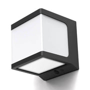 Cube 10W LED Solar Security Wall Light with Motion Sensor