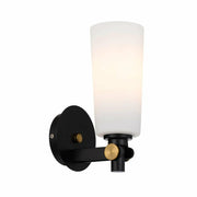 Delmar Indoor Wall Light with Metal Frame & Glass Shade