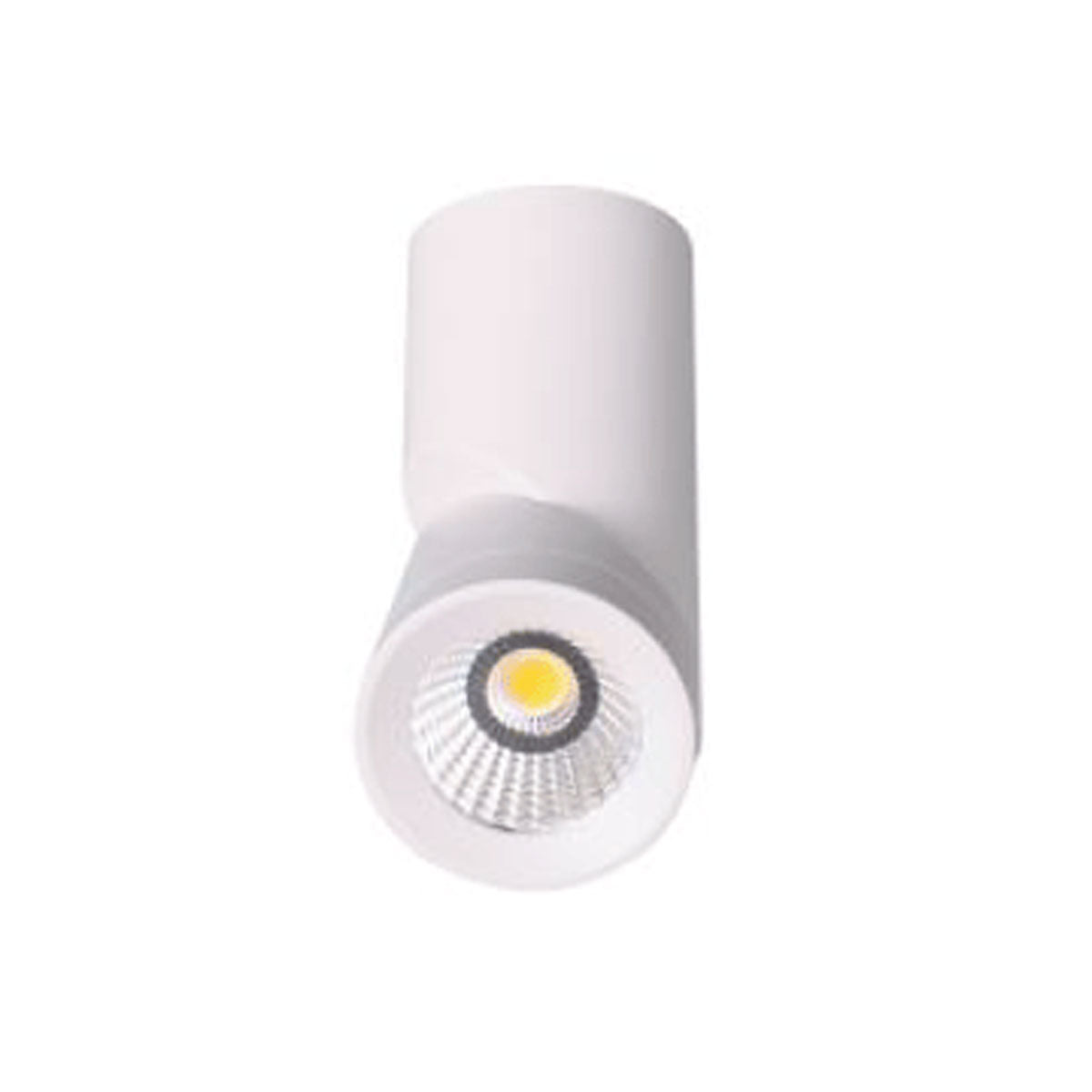 Surface Mount Adjustable LED Downlight