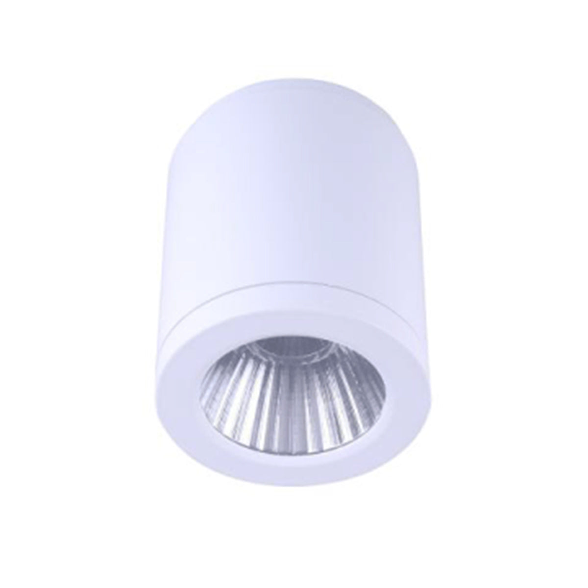 Surface Mounted LED Downlight