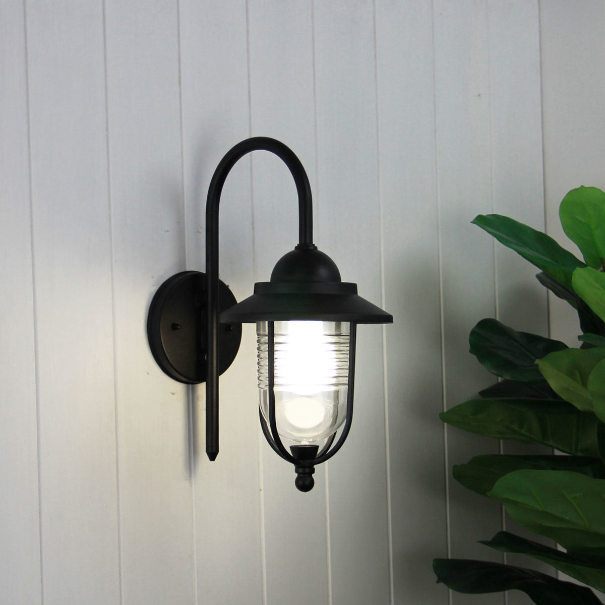Domo Contemporary Outdoor Coach Wall Light