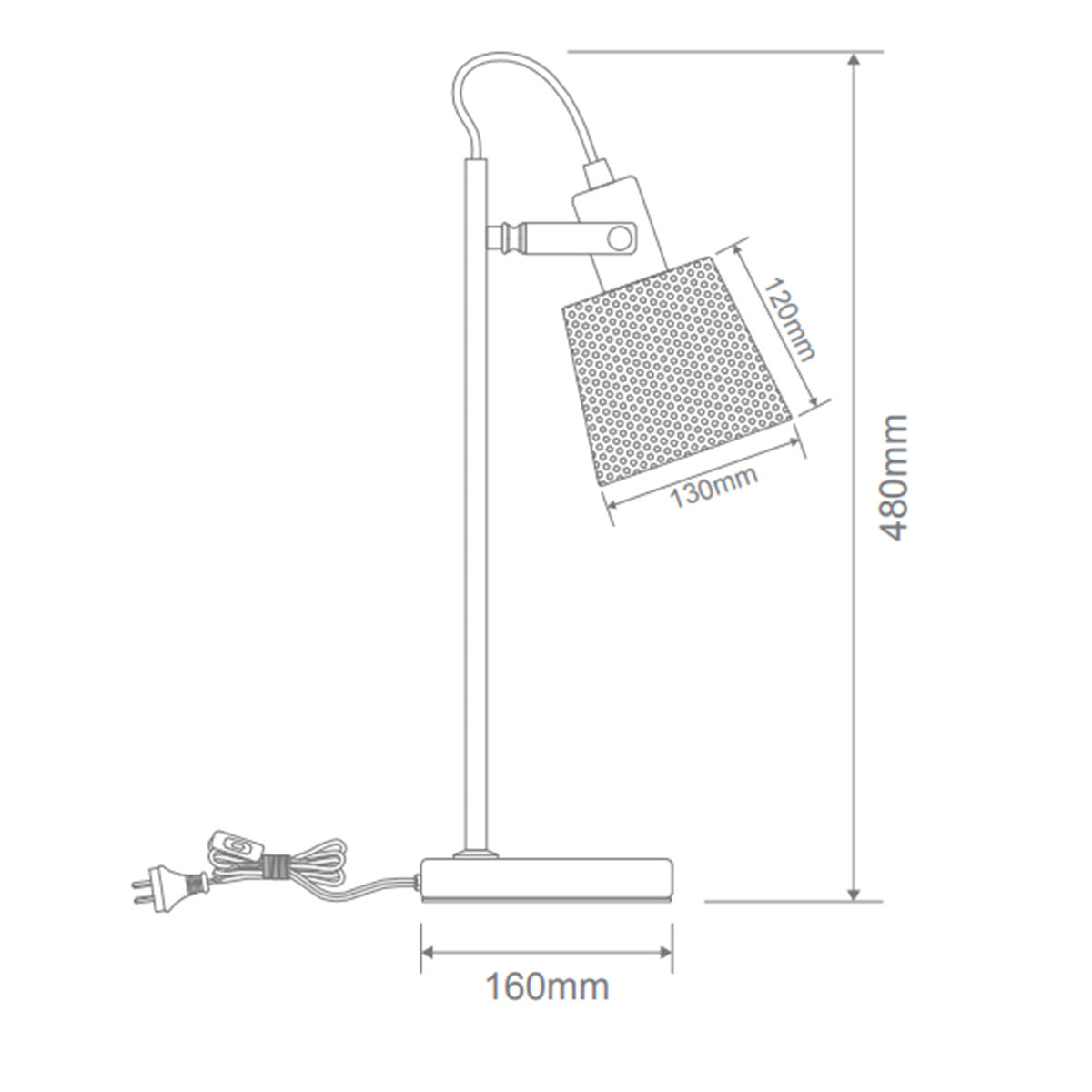 Domus Rustica Desk Lamp