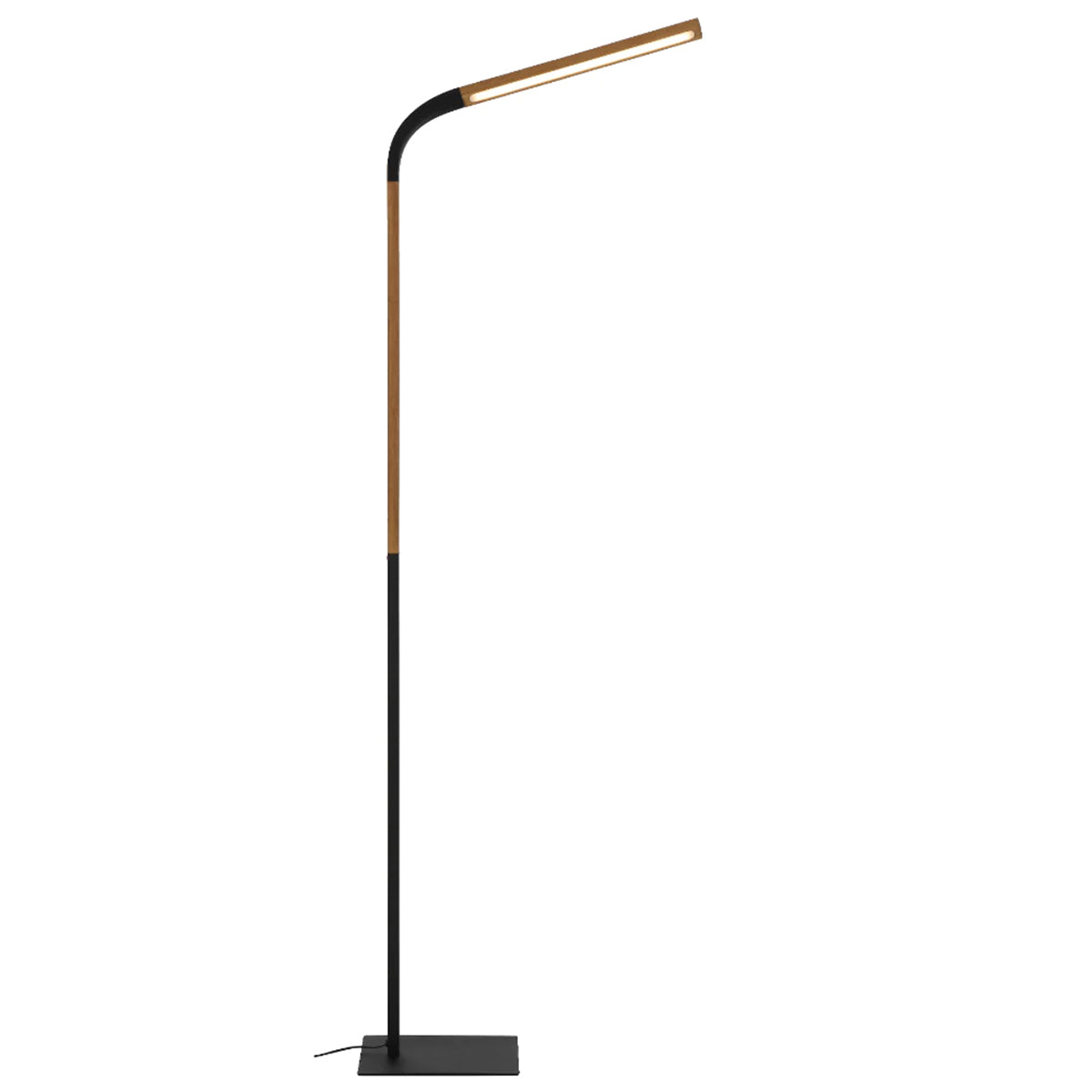 Dumas 10W LED Floor Lamp with Adjustable Head