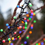 LED Berry Fairy Lights