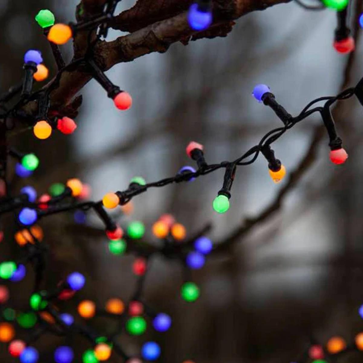 LED Berry Fairy Lights