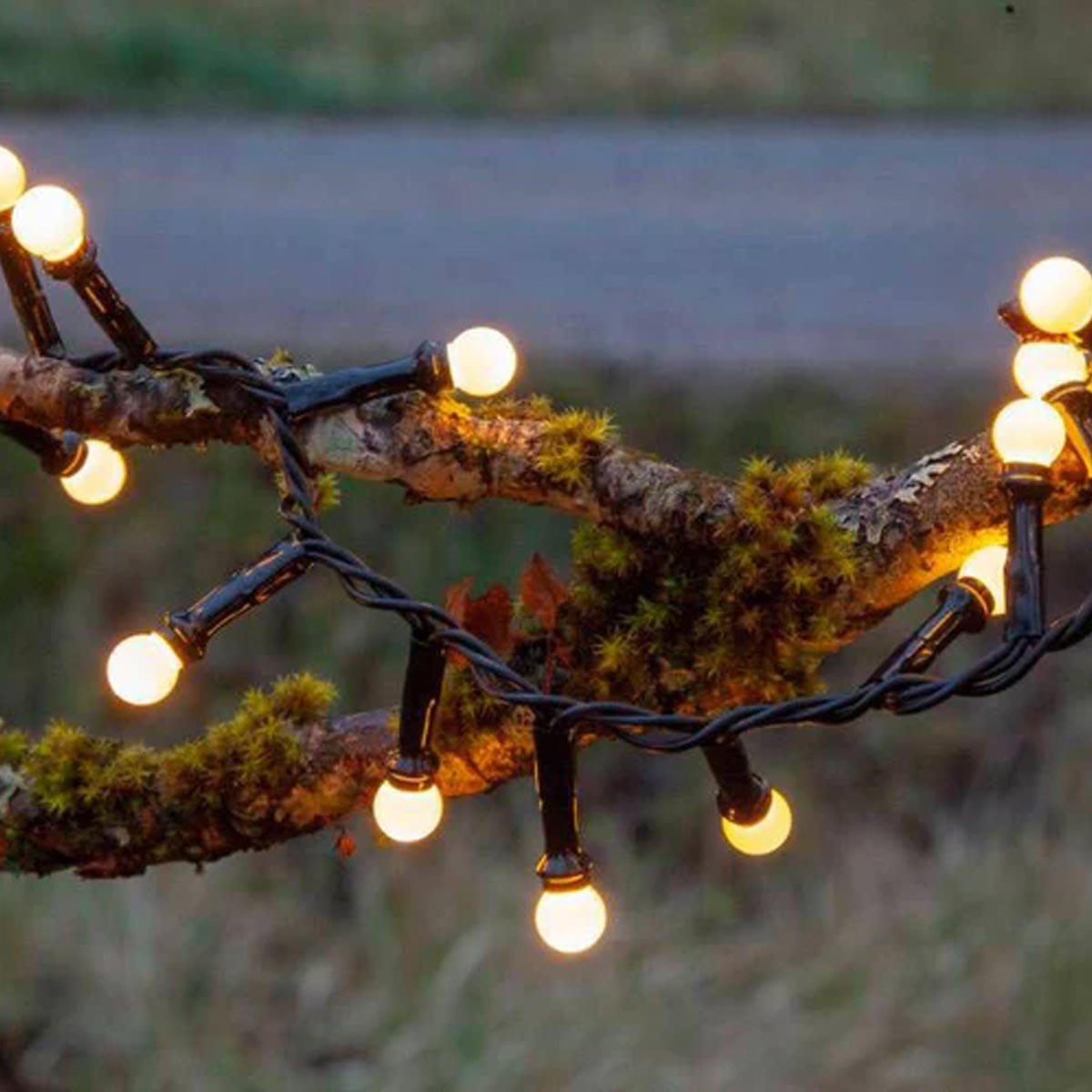 LED Berry Fairy Lights
