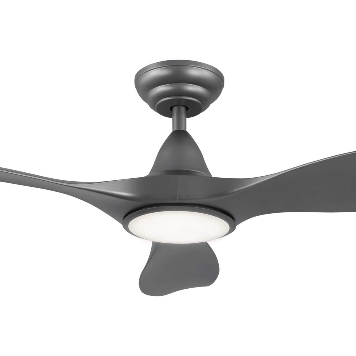 Noosa DC Ceiling Fan with LED Light & Remote