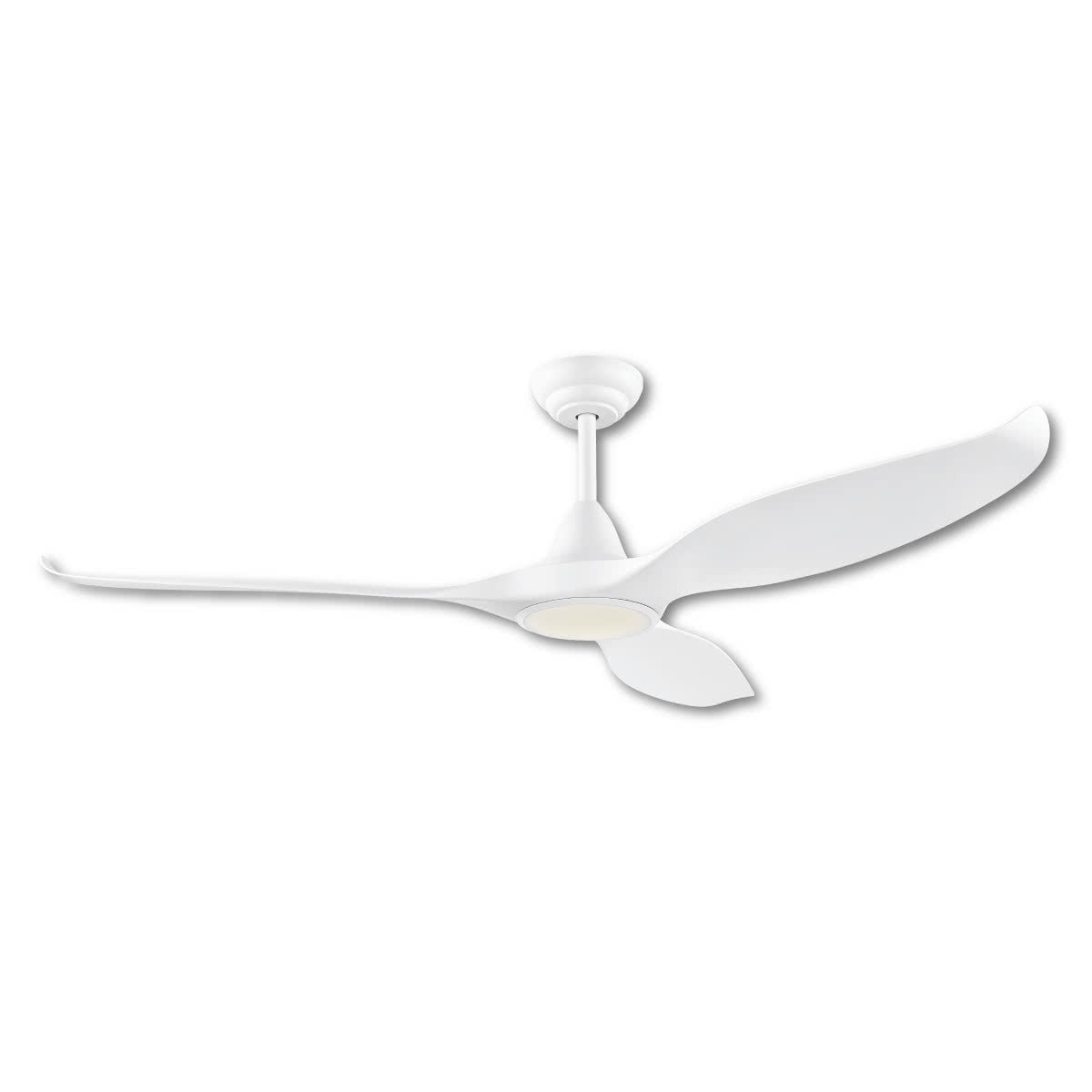 Noosa DC Ceiling Fan with LED Light & Remote